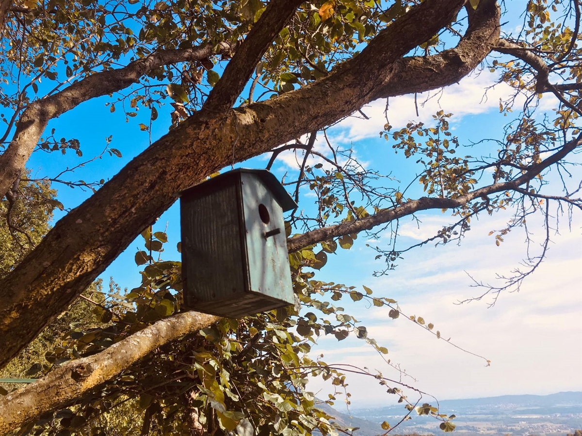 Comune di Rubiana Gallerie